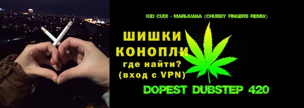 мдпв Богородск