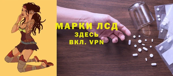 мдпв Богородск