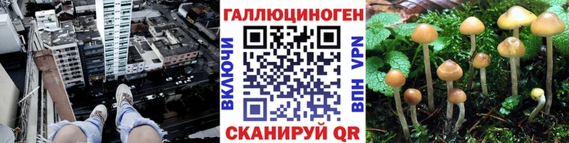 купить  цена  Белая Холуница  Псилоцибиновые грибы мухоморы 
